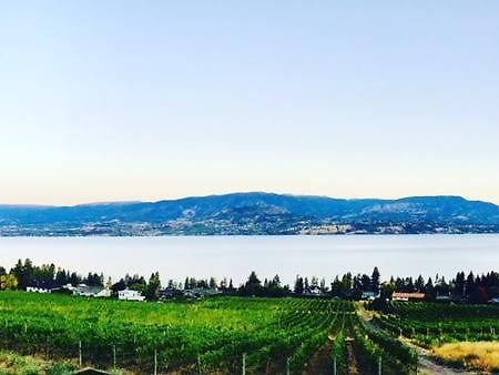 Summerhill Estate House Bed & Breakfast Kelowna Dış mekan fotoğraf