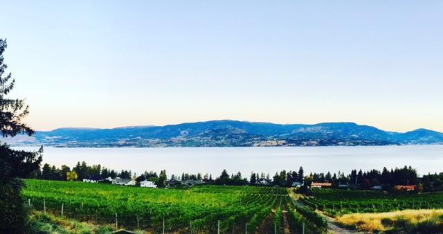 Summerhill Estate House Bed & Breakfast Kelowna Dış mekan fotoğraf